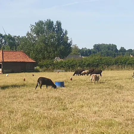 Le Du Bois Du Fil