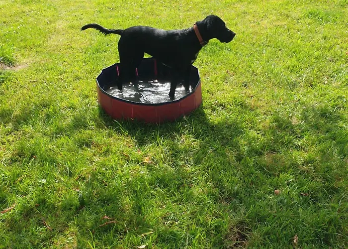 Le Du Bois Du Fil 度假居 Vassonville